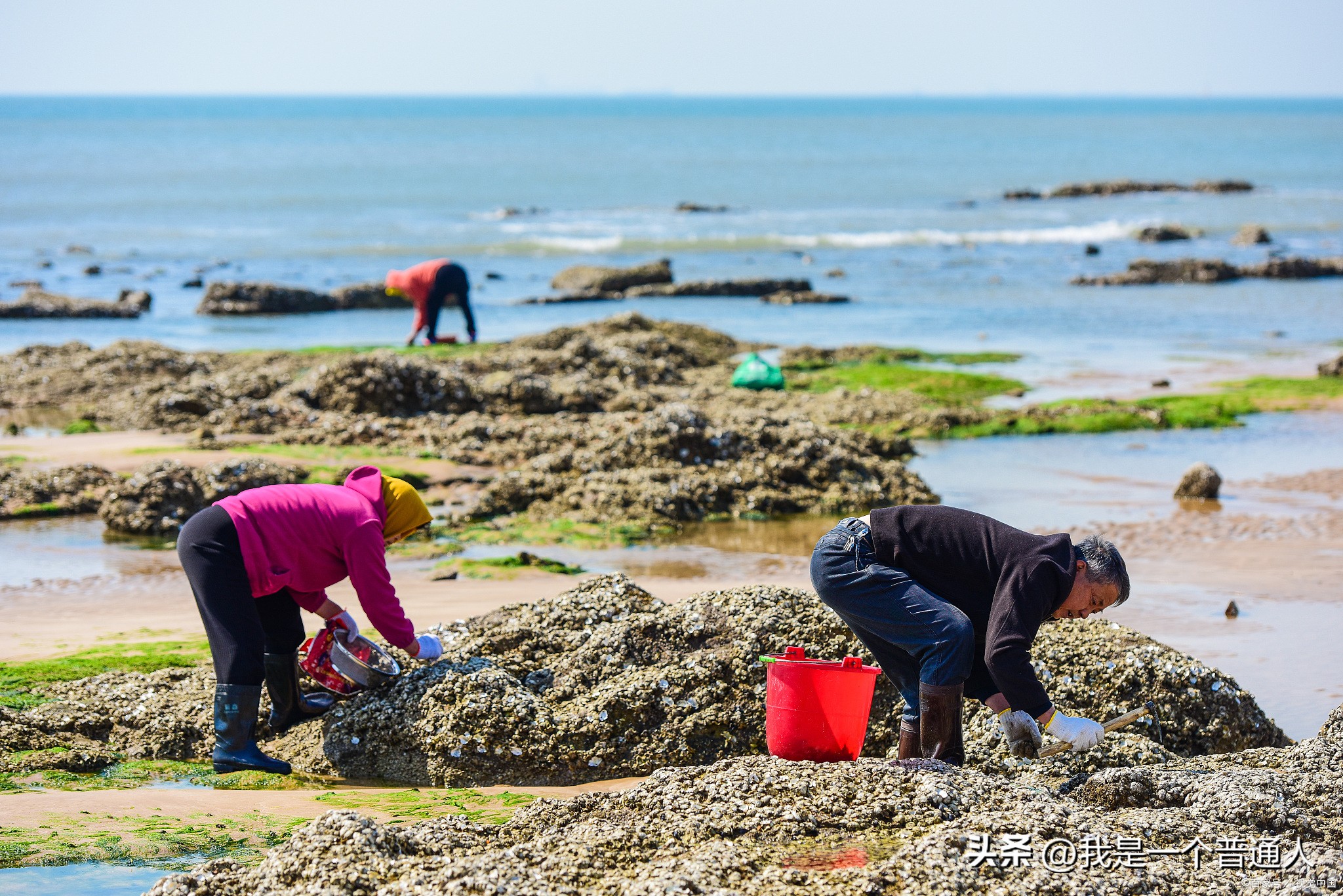 山东居民养老基础养老金是多少,山东省城乡居民养老基础养老金