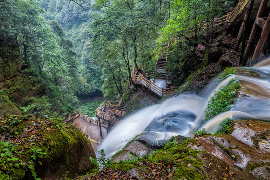 大熊猫基地怎么才能去喂大熊猫,大熊猫基地怎么去九寨沟