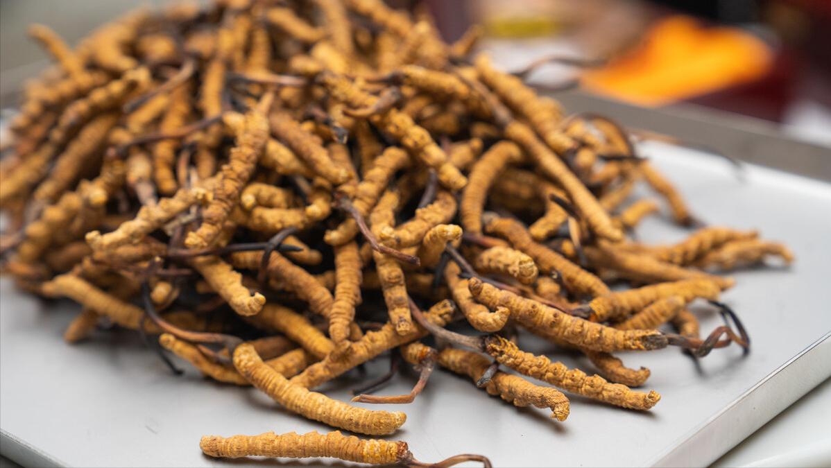 中国各地特产美食推荐,中国这六种欲罢不能的特产美食