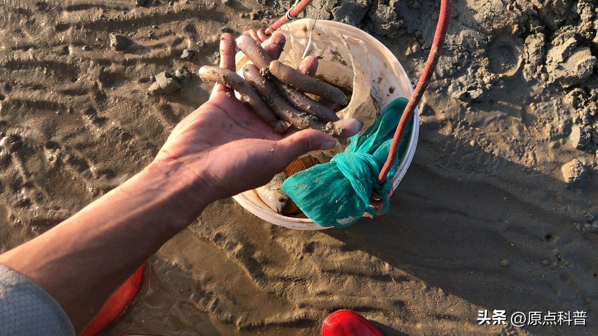 十大不起眼的赚钱行业排行榜最新,小县城利润最高的不起眼行业赚钱