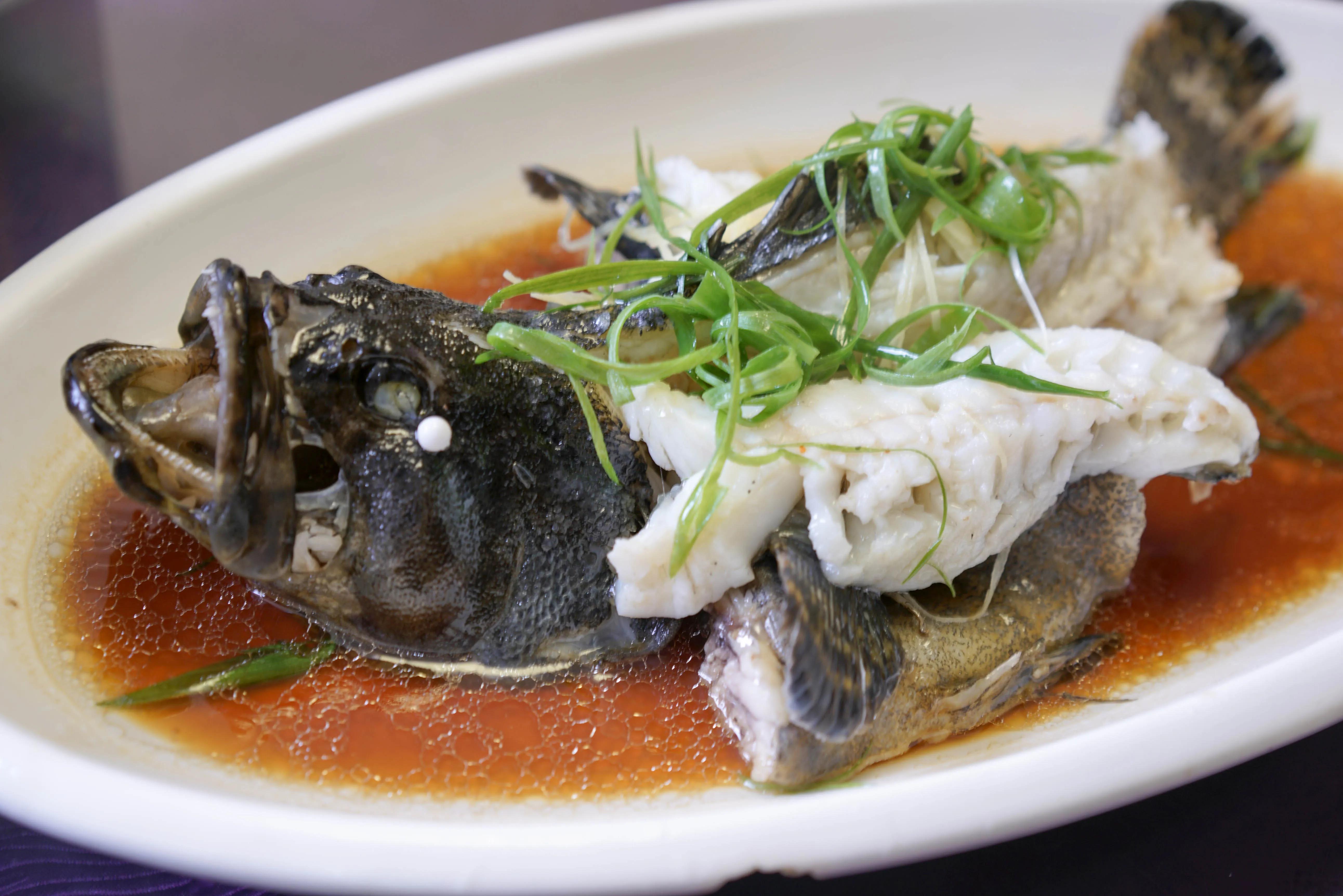 100种常见海鱼大全,常吃的海鱼图片及介绍