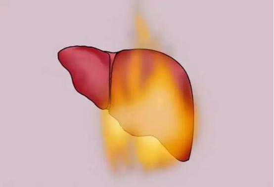 春季肝气不舒、易生肝火,送一简单养肝方子,助你疏肝气、泄肝火