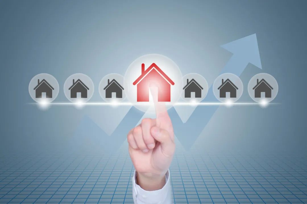 苹果上线新服务,苹果在教育市场上的优势