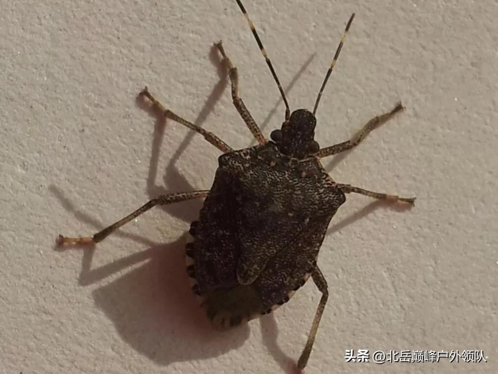 武功山重装反穿共几个小时,重装穿越武功山感受