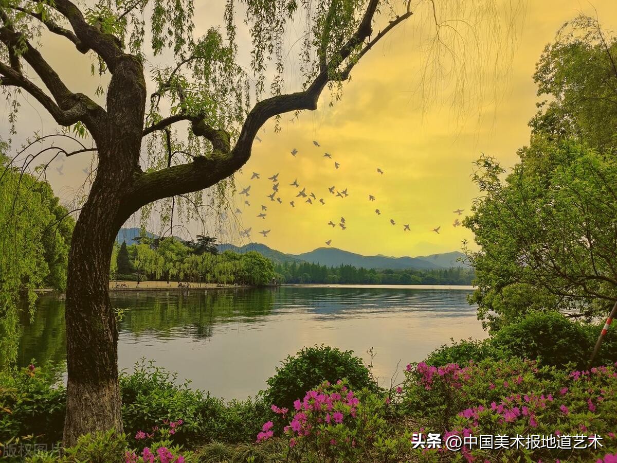 柳浪闻莺附近的十景,杭州西湖十景柳浪闻莺