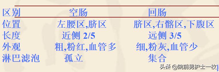 呕血病人紧急护理评估要点,急救人出血怎么处理