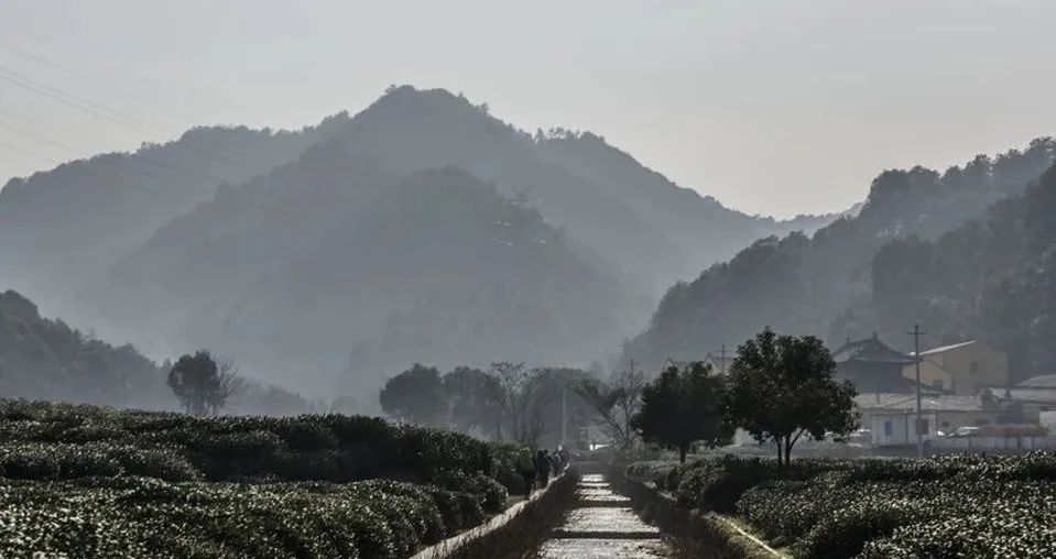 还剩10天!如何安全有仪式感地迎接元旦?这14条周边短线值得一去