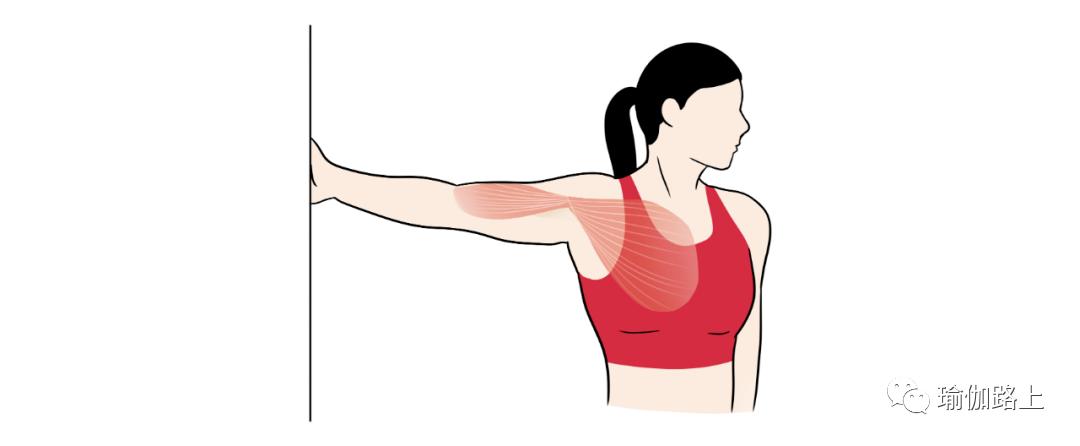 减手臂拜拜肉最有效的运动视频,坐着减手臂拜拜肉