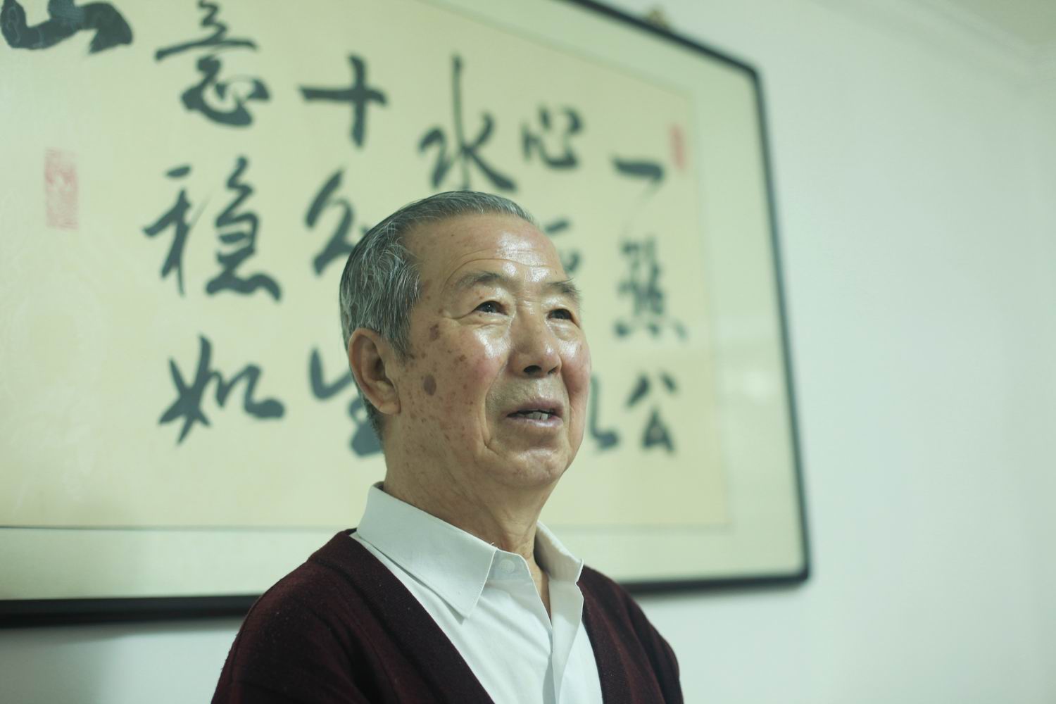 天津建卫616周年资料,天津建卫600周年