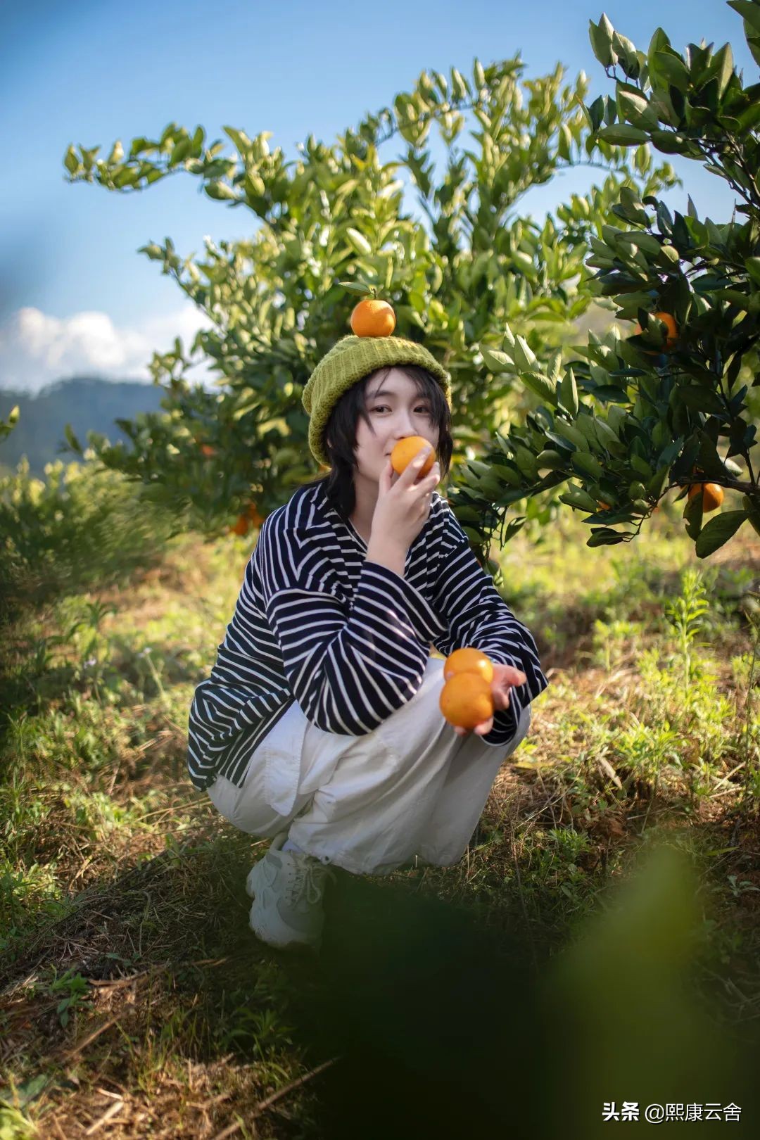 来滇南“打边炉”，悬崖之巅烤橙子