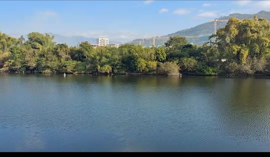 姊佸瓙浣滃,姊佸瓙灏忚浣滃