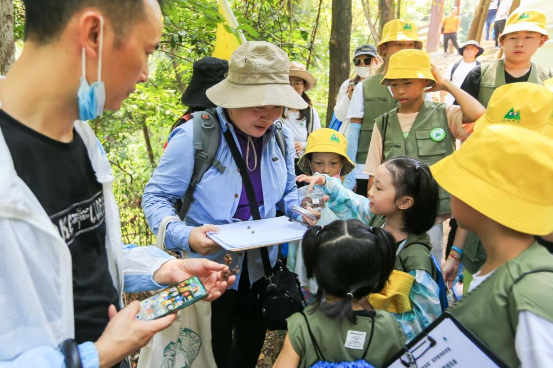 端午假期光明活动超精彩！音乐live、摘荔枝、包粽子……等你解锁！