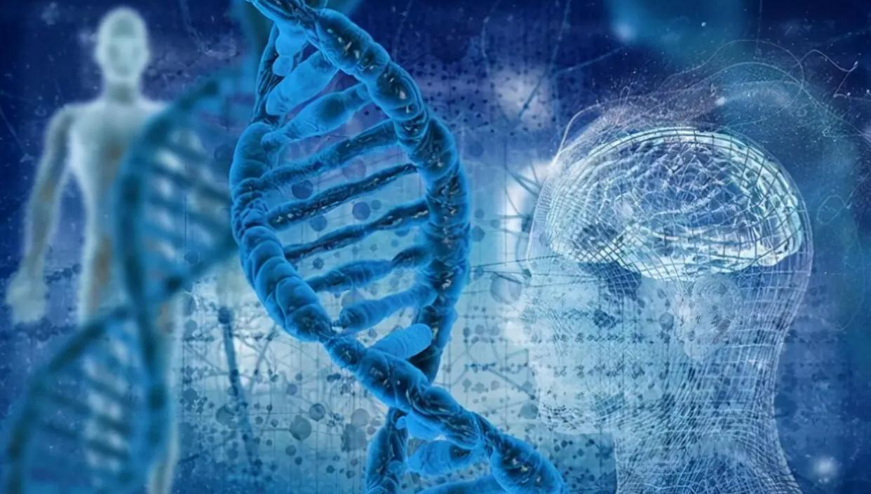 碳基生命与硅基生命对比视频,从碳基生命到硅基生命时间表