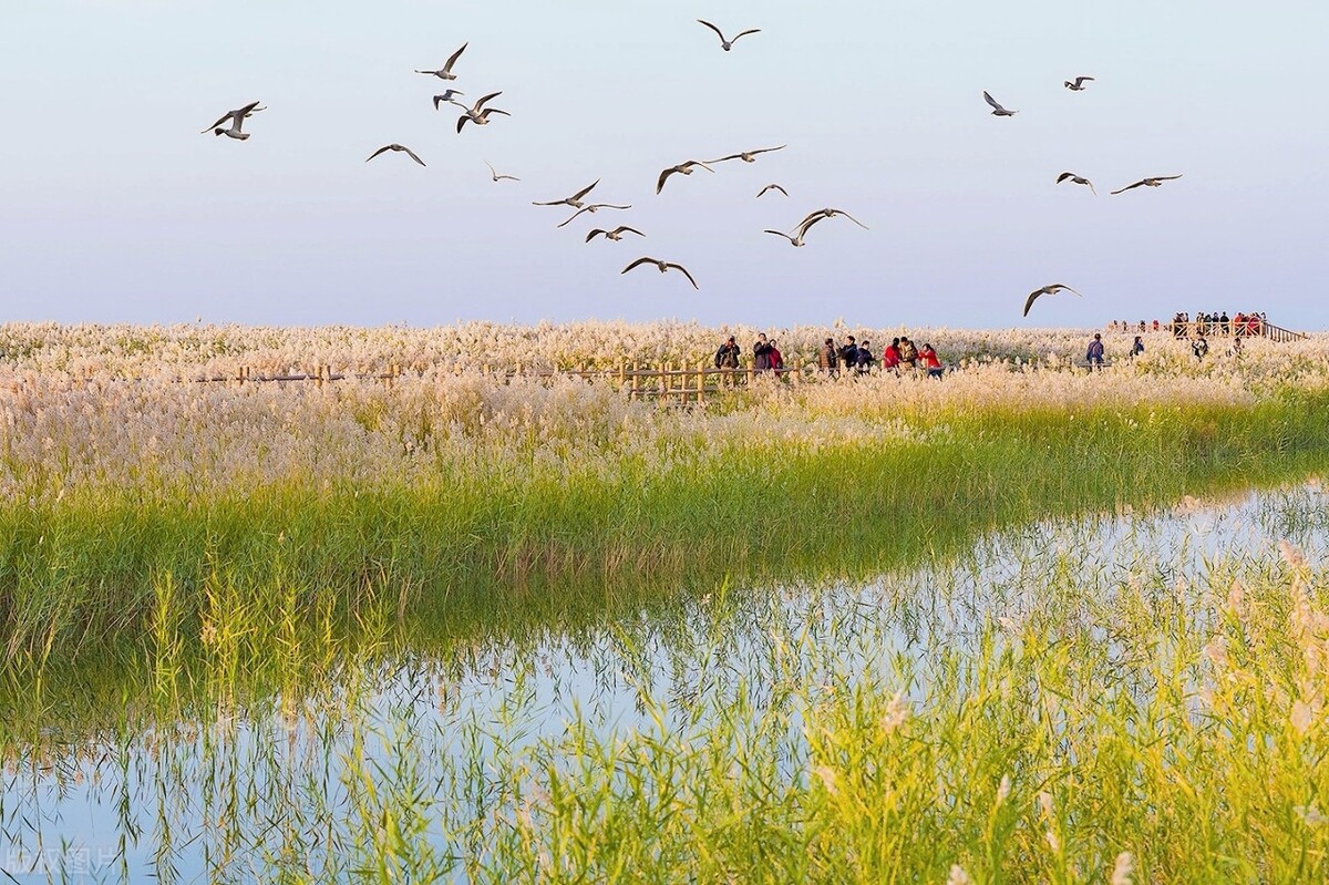阿拉善旅游攻略必玩的景点地图,内蒙古阿拉善游玩攻略