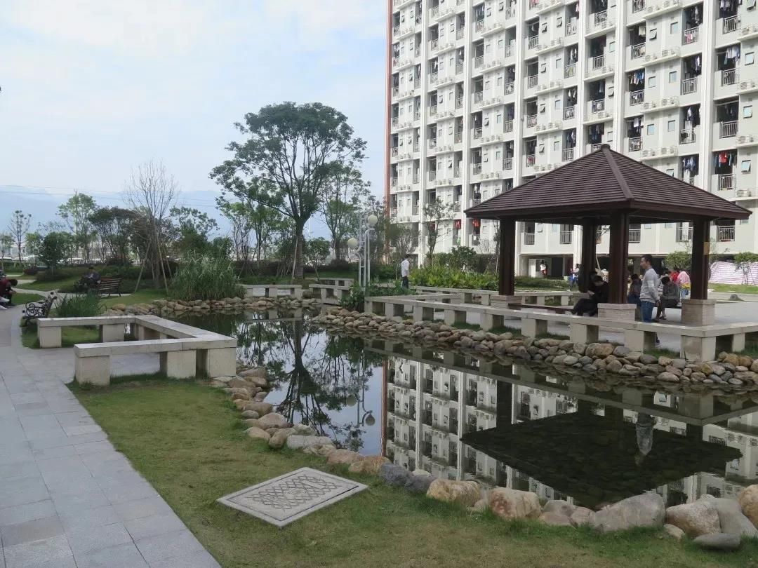 宁德新能源真实工资,宁德新能源待遇怎么样