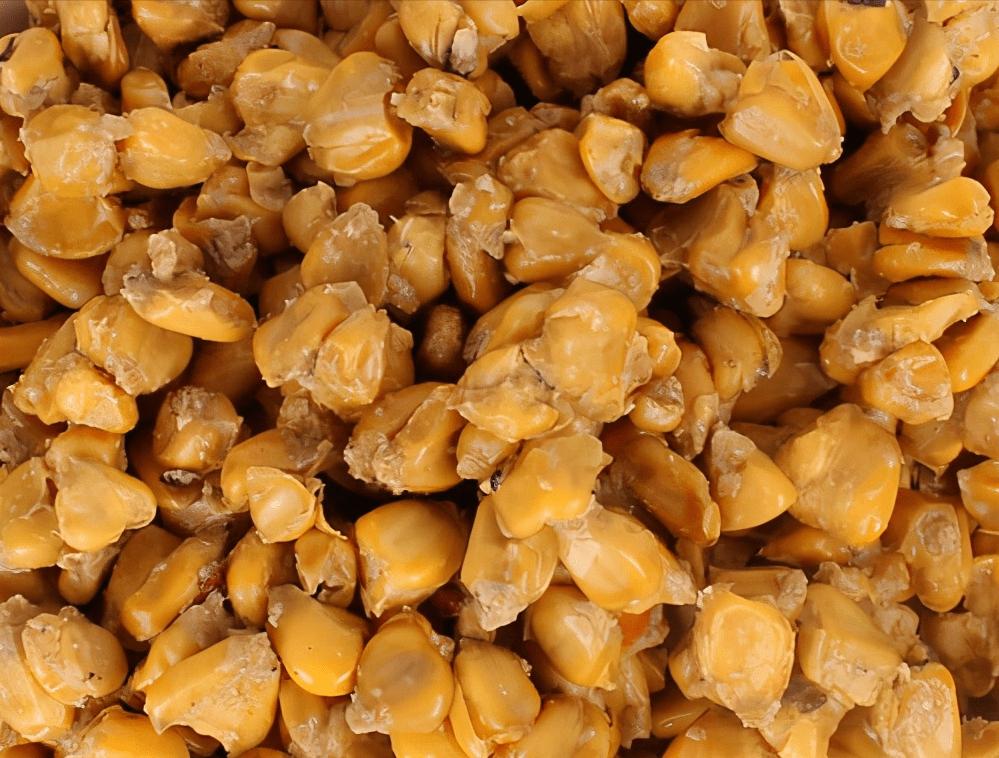 老坛玉米的正确使用方法,老坛玉米诱鱼技巧