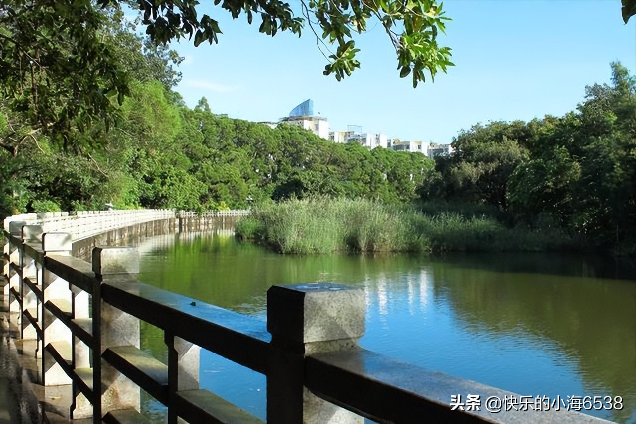 深圳一公园“走红”,历史悠久门票免费,距市区12.7公里