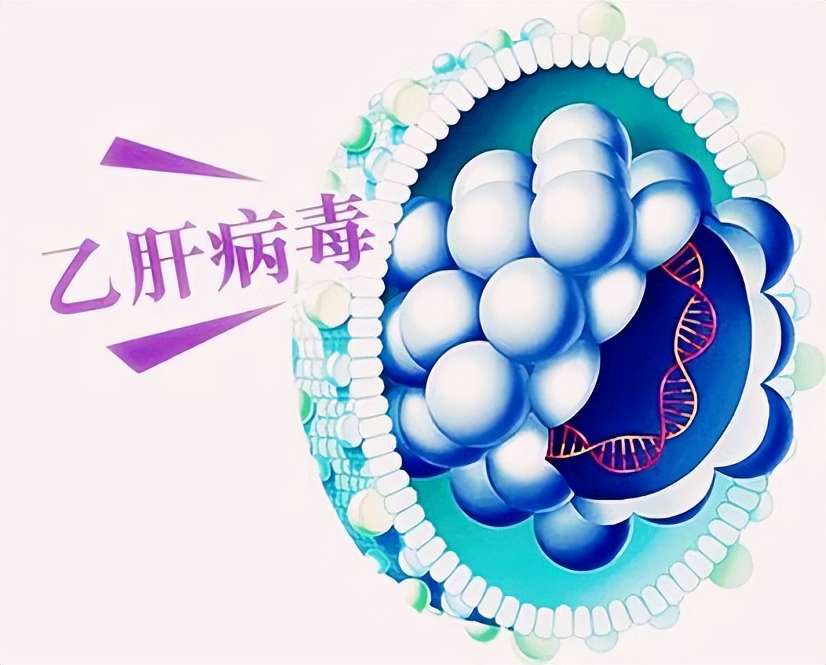 乙肝患者长期服用恩替卡韦好吗,乙肝服用恩替卡韦可以再喝中药吗