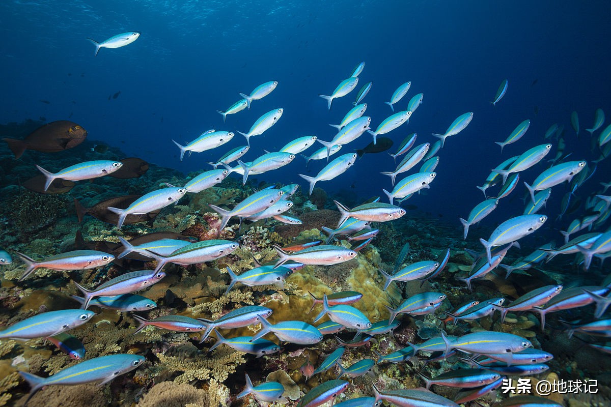中国钓鱼海岛,中国最大的渔岛是哪里