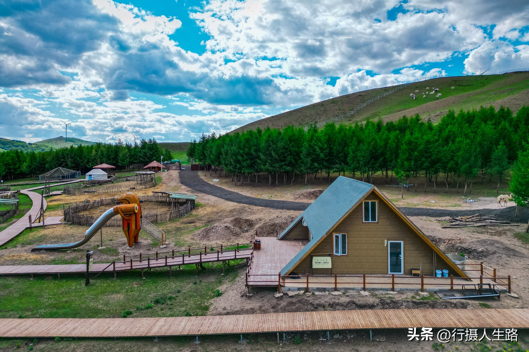 一路向北去黑龙江漠河,一路向北去寻找花海