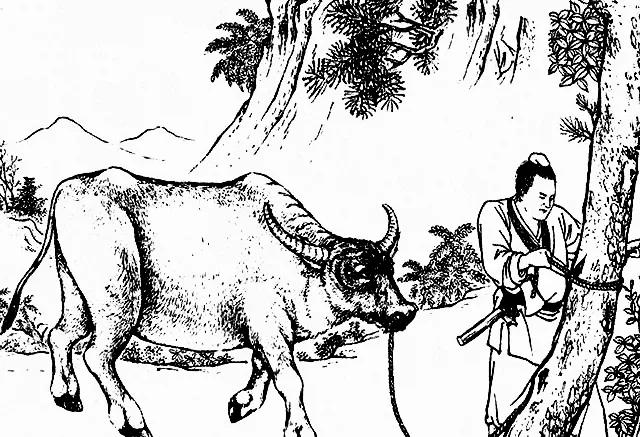 民间故事老龟讲述,民间故事千年老龟