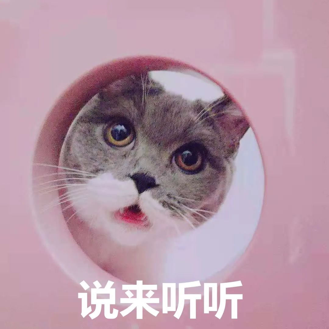 开棺免费完整版在线观看,呼和浩特体育馆免费开馆