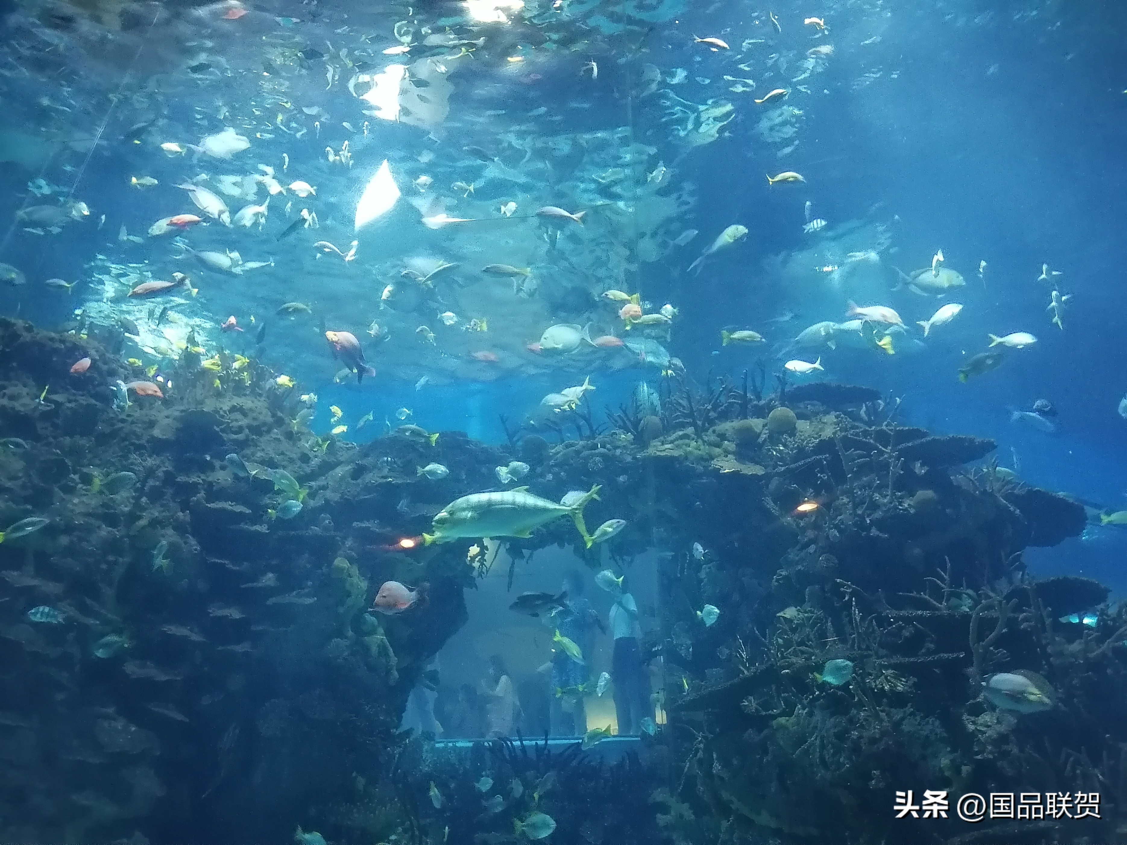 15个高情商的社交常识,10个高情商的社交常识