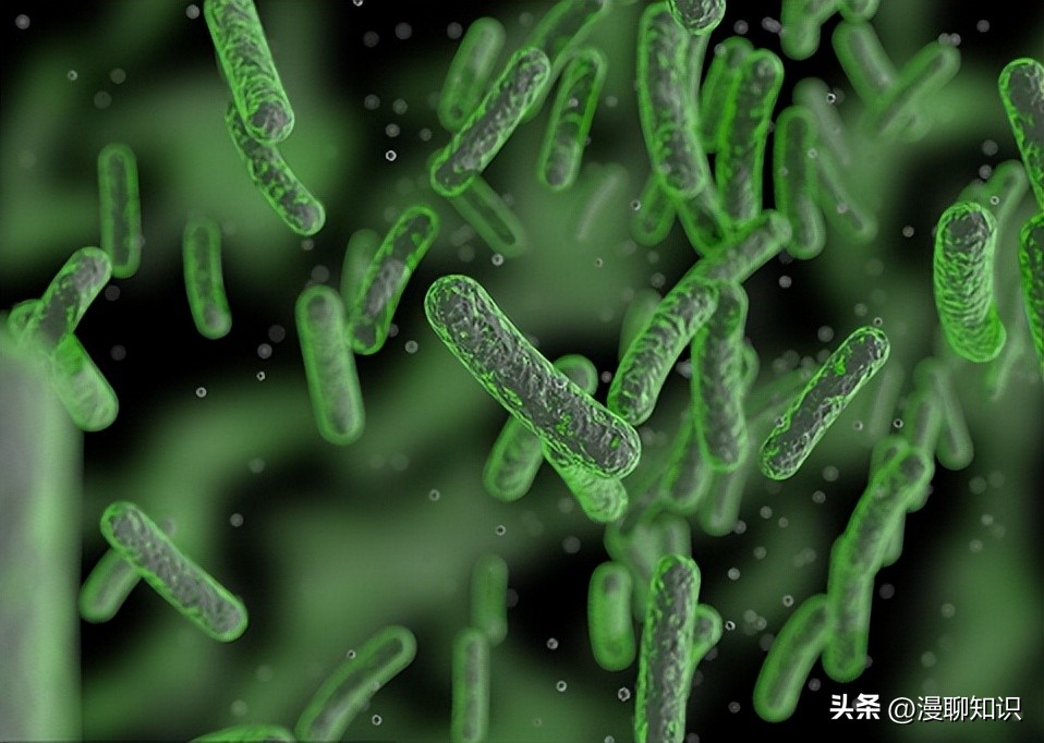 沙门氏杆菌遇高温能消灭吗,沙门氏菌对营养要求高吗