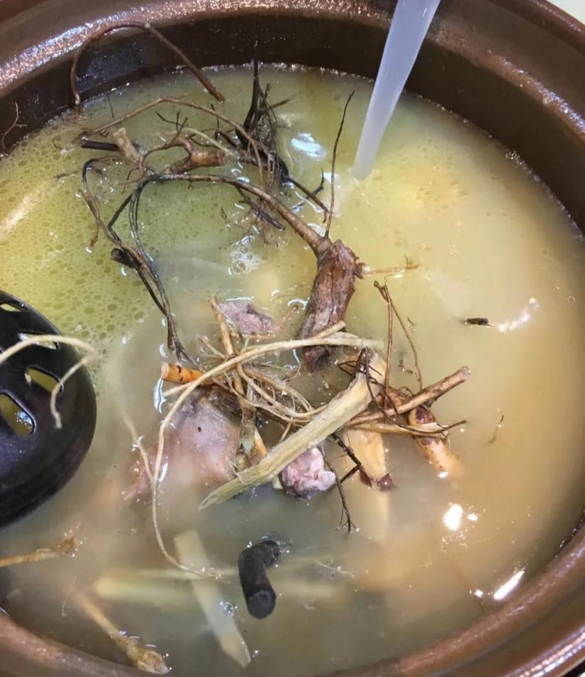 有一种树全株具乳汁，根部有奶香，是煲汤佳品，味美价值高，是啥