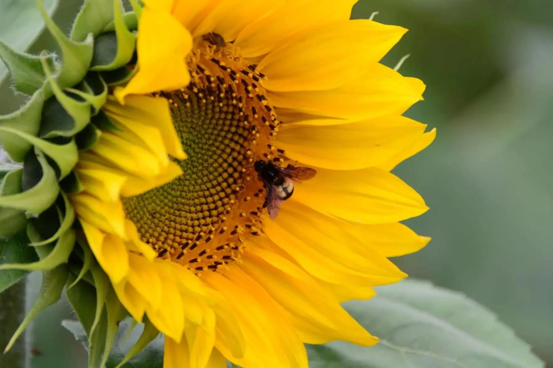 开小吃店需要学会哪些菜品,想开小吃餐饮店有什么推荐