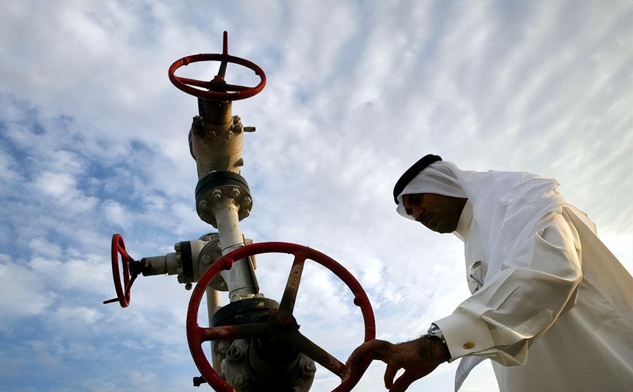 全球三大显赫家族,世界十大家族沙特王室