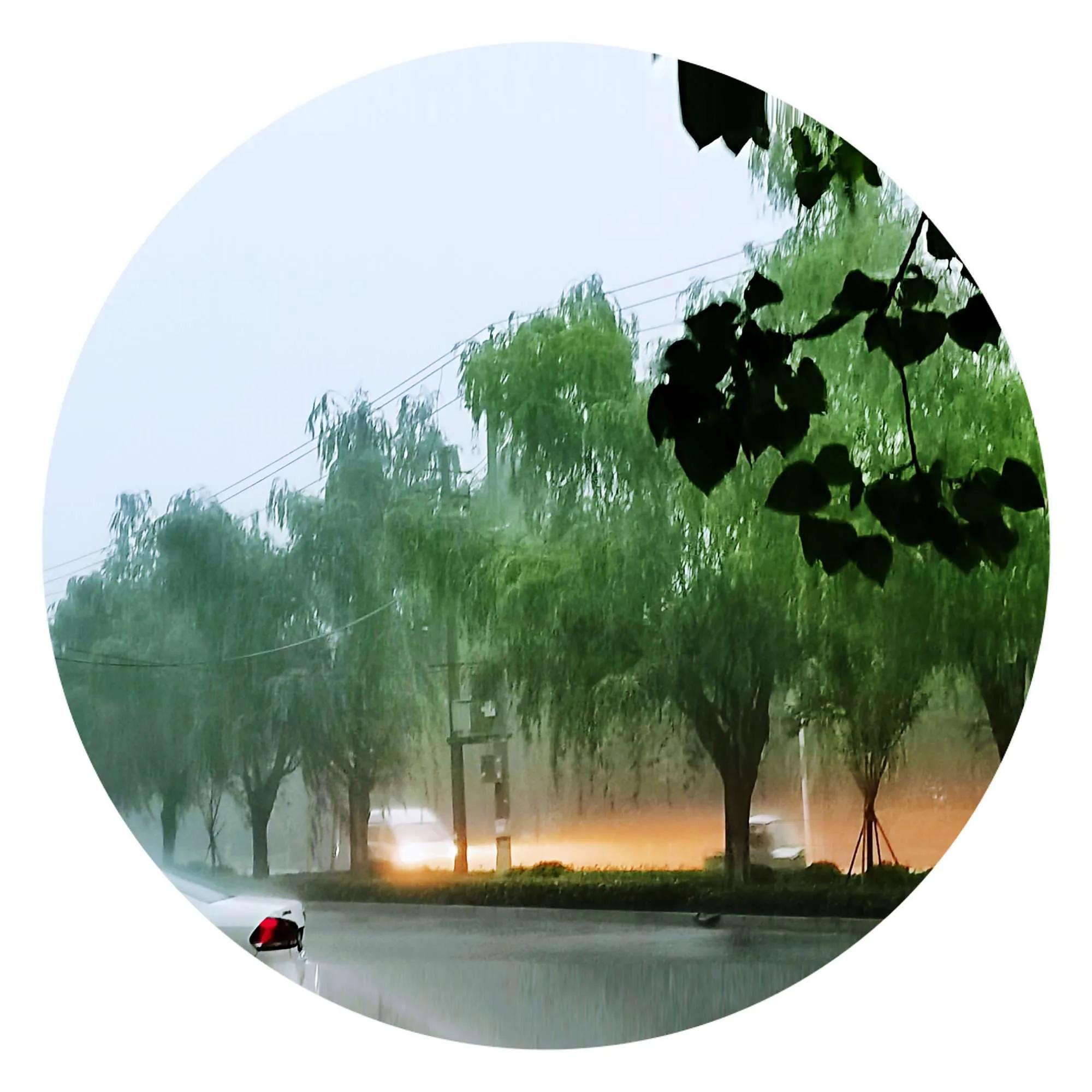 我的家乡鹿邑老子故里作文,我的家乡鹿邑作文400字怎么写