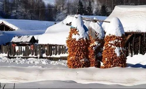 「当代作家联盟•小说连载」黑龙江​房浩然《​舛（58—65章）》