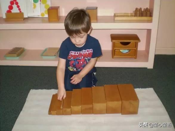 蒙氏圆教具,蒙氏园夏季主题教学