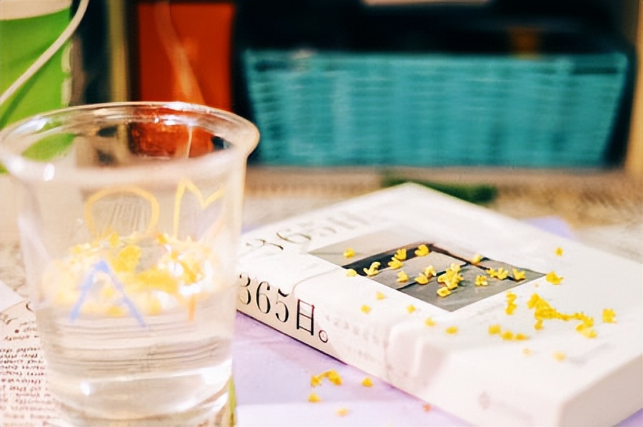 不负温柔文案句子简短伤感,不生气温柔的文案短句子