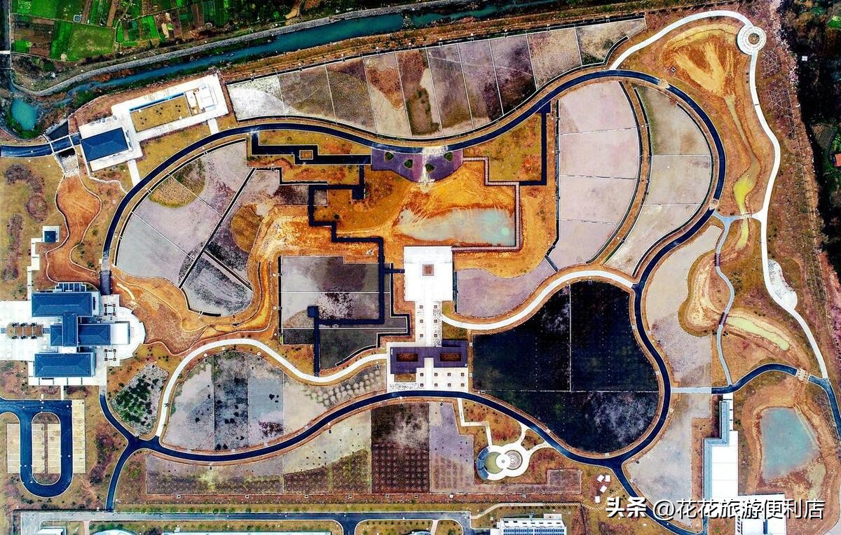 中国杨梅之乡浙江丈亭,中国杨梅之乡三洲