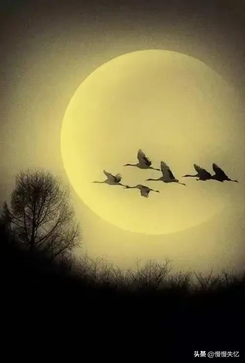 杜甫最经典的15首诗,杜甫的诗最经典的十首