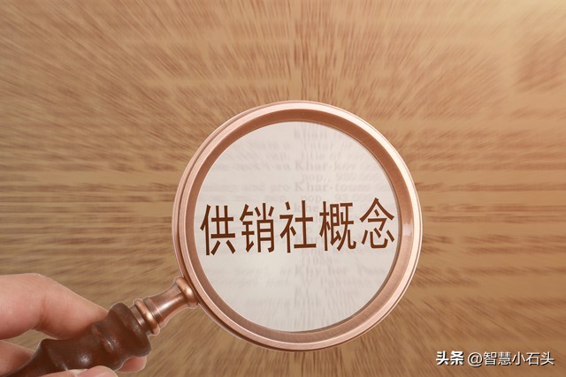 农村走集体化道路,农村合作社致富新道路