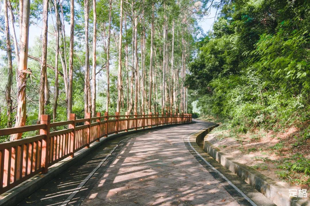 深圳最值得爬的景点,深圳十大最值得爬的山