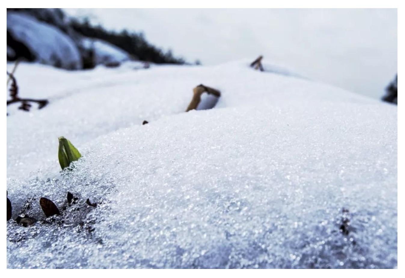 在摄影中如何使用曝光补偿,摄影基础知识曝光补偿是什么
