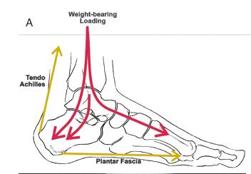 知足常乐足部护理,足跟痛的克星一览表
