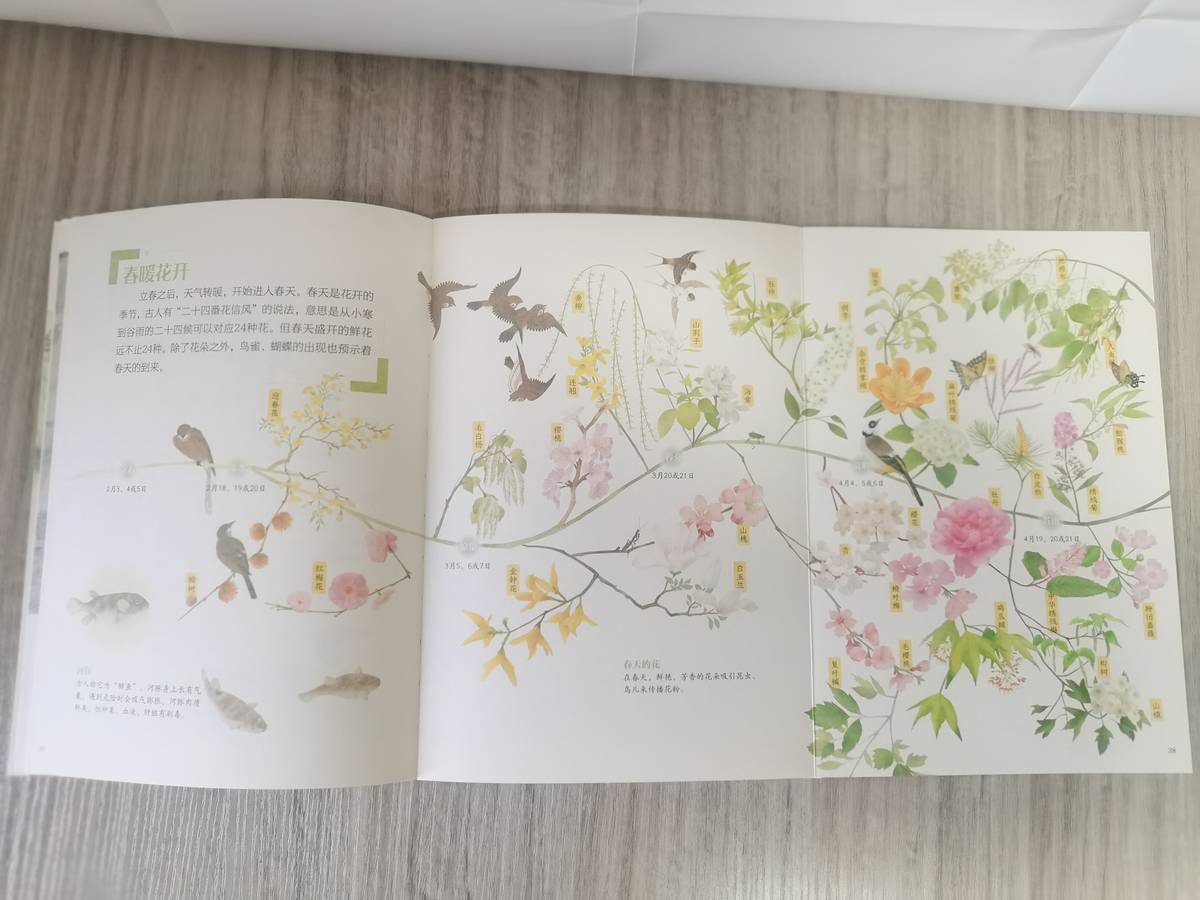 宝宝几岁开始学背诗,幼儿园提前背古诗