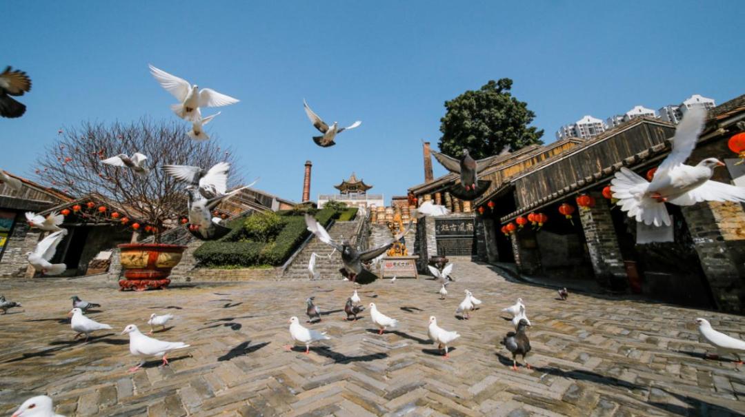 广东广州佛山自驾游推荐,广东佛山走318自驾游旅游攻略