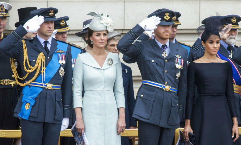 梅根对威廉凯特的评价,威廉对哈里梅根的态度