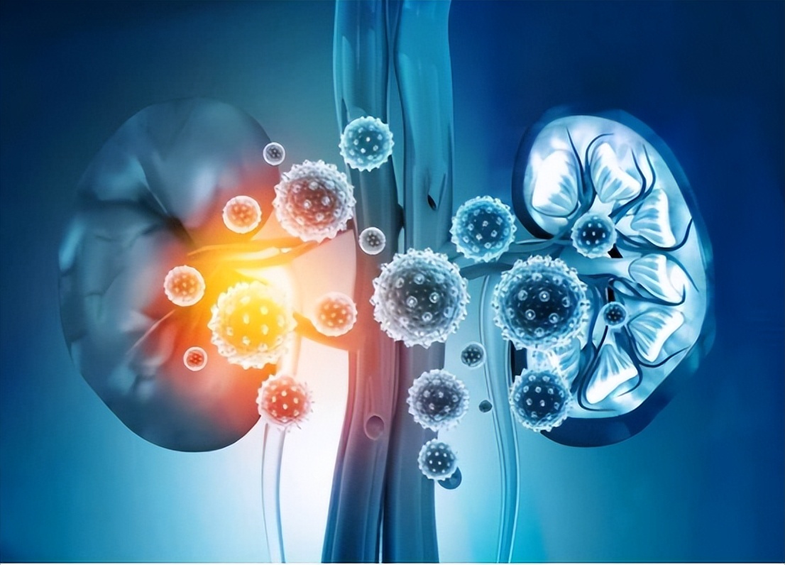 雌激素有助抵御尿路感染吗,雌激素导致的尿路感染