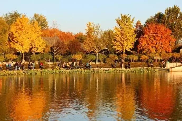 北京必去的30个赏秋地点,赏秋京城内外高颜值秋景大盘点