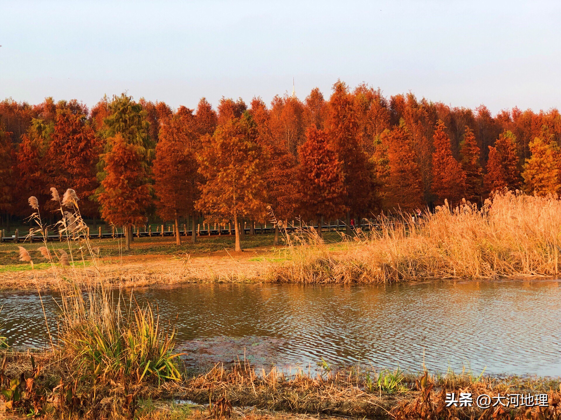 旅游攻略国内十大必去景点南方,中国南方著名景点