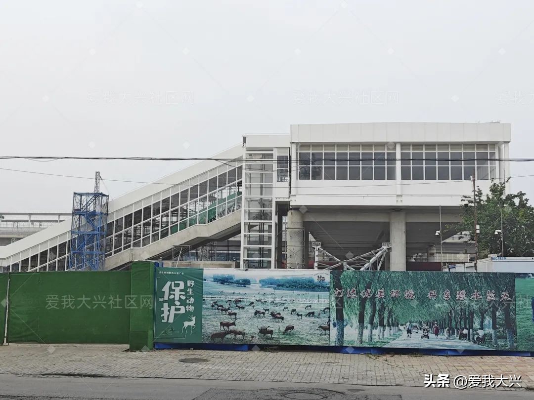 两年了，大兴这个项目建的如何了？预计...