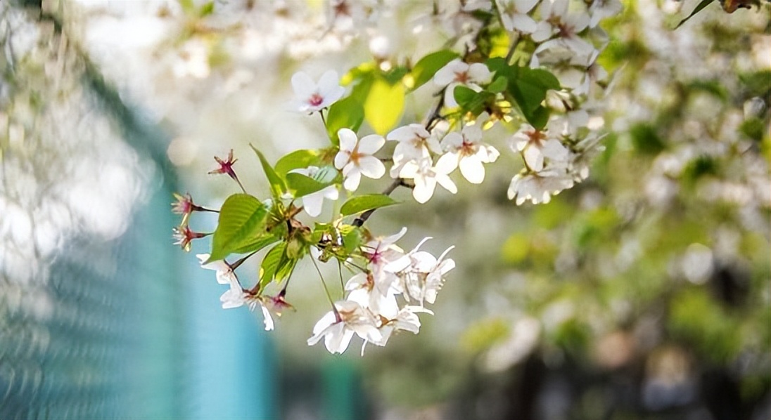 独具性格魅力让人久处不厌的星座,能力很强但是人缘很差的星座