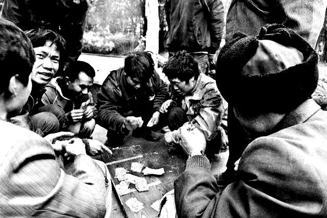 红杉树电视剧大结局,红杉林的全部小说